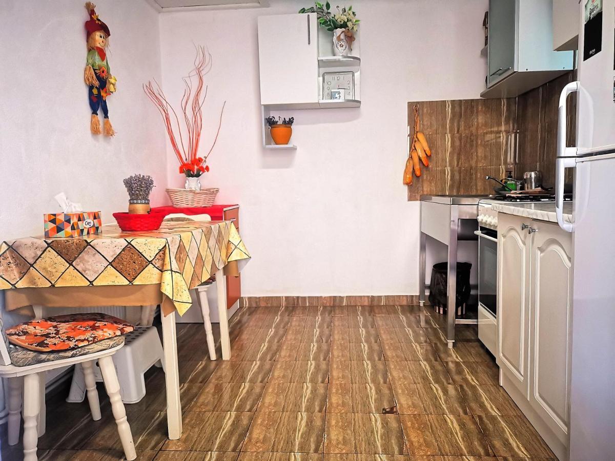 Willa Casa Petrescu Curtea de Argeş Zewnętrze zdjęcie
