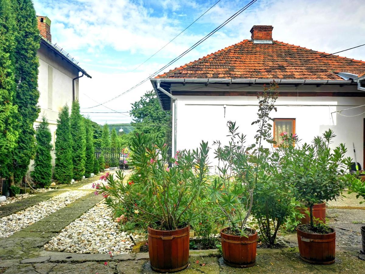 Willa Casa Petrescu Curtea de Argeş Zewnętrze zdjęcie