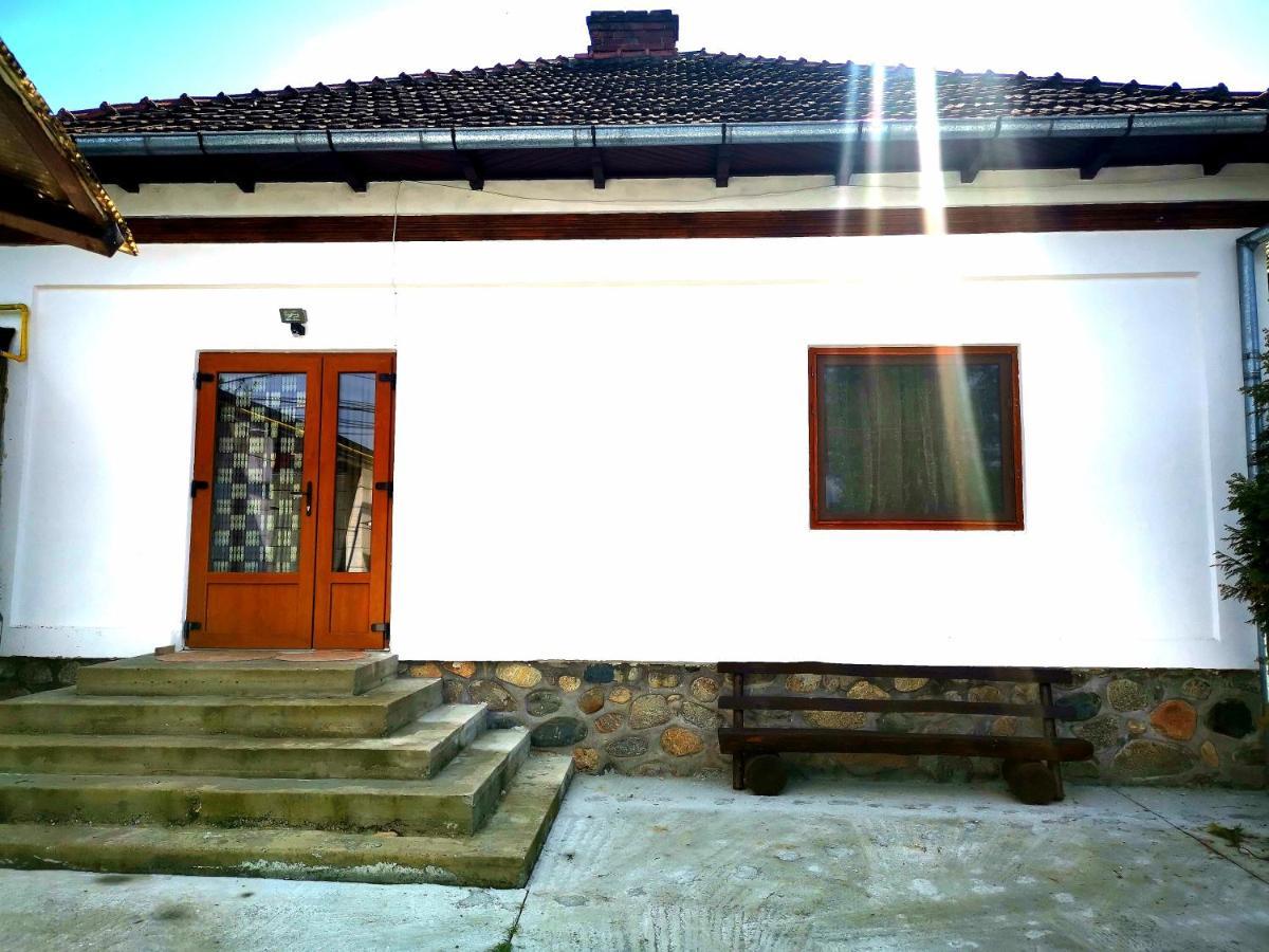 Willa Casa Petrescu Curtea de Argeş Zewnętrze zdjęcie