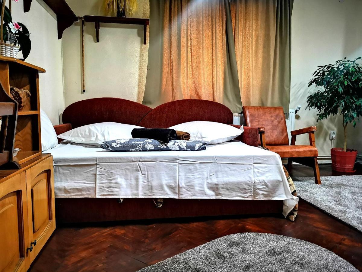 Willa Casa Petrescu Curtea de Argeş Zewnętrze zdjęcie